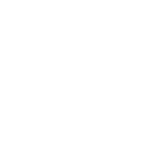 Une fois un Cirque